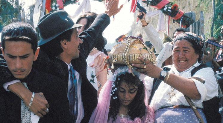 Chat noir, chat blanc