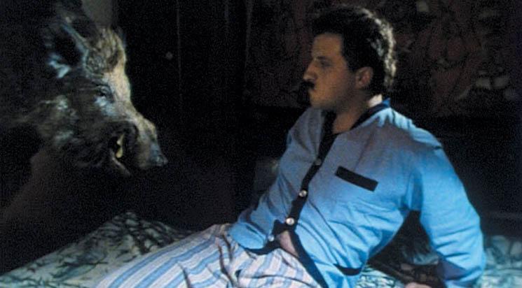 À La Rose des Vents + Chicken-Kitchen