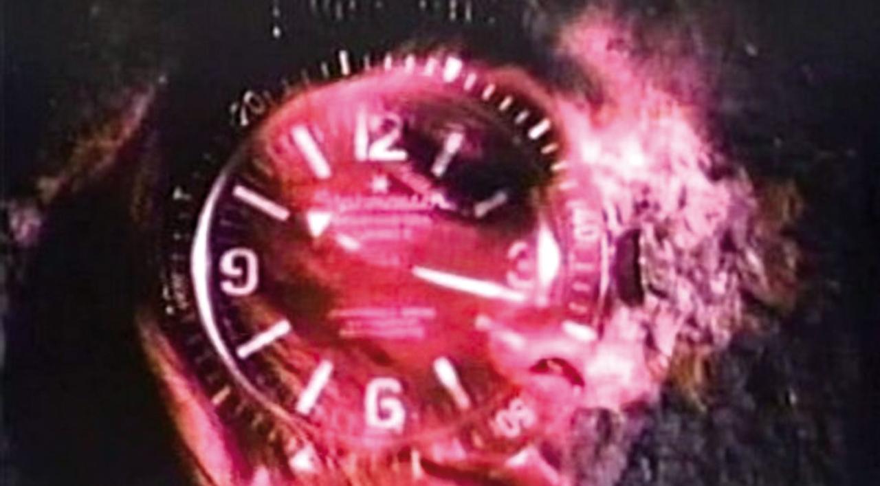 Chromo Sud + Vu par mon chien (trente ans de culottes)