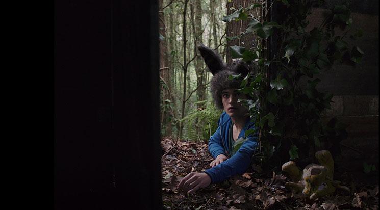 Boa Noite Cinderela suivi de Coelho Mau