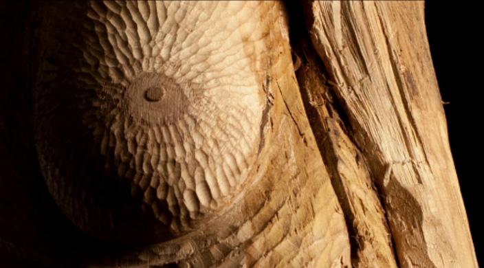 Focus sur Sebastien Laudenbach