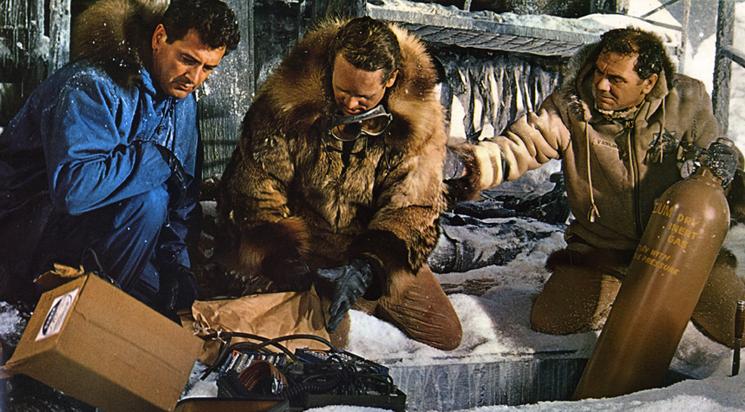 Destination : Zebra, station polaire