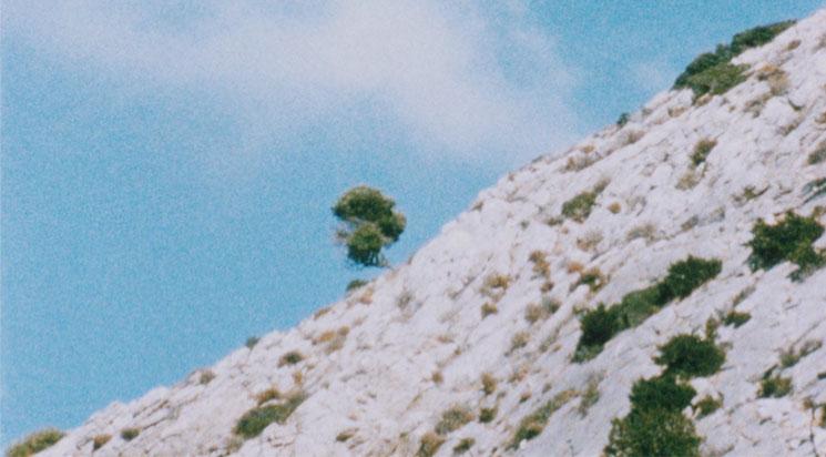 Les coopérateur·rices du Collectif Jeune Cinéma