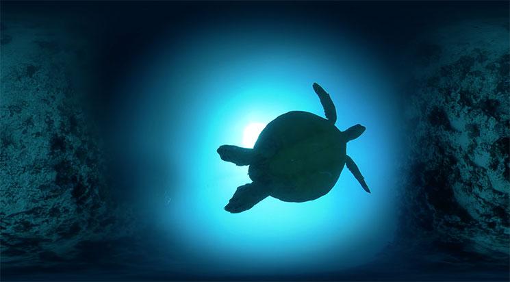 Les samedis de la VR - 19h30 / 9 novembre