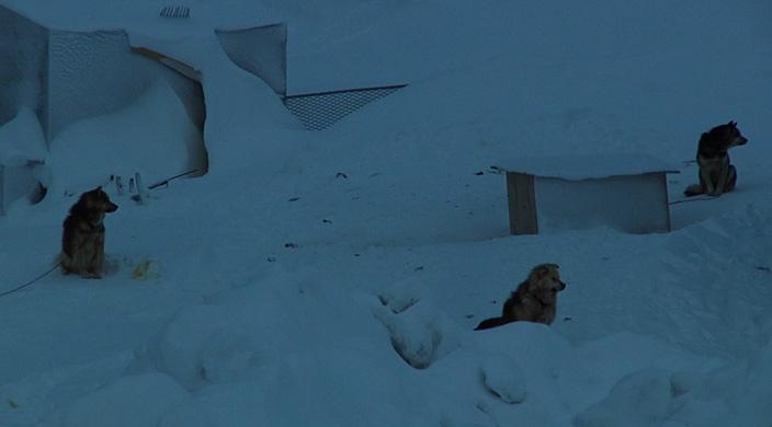 Nuit permanente : au pôle