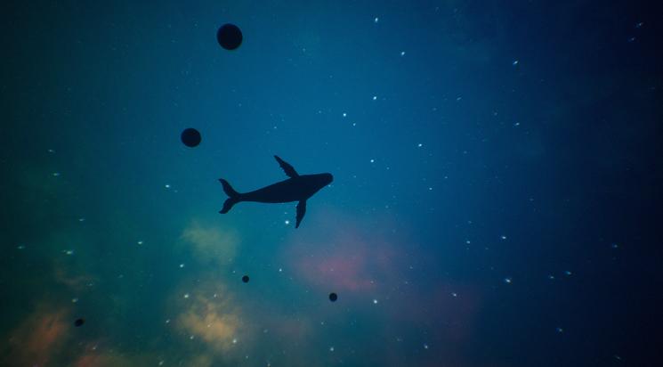 Les Samedis de la VR - 19h30 / 24 novembre