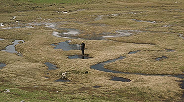 Séance annulée // J.A