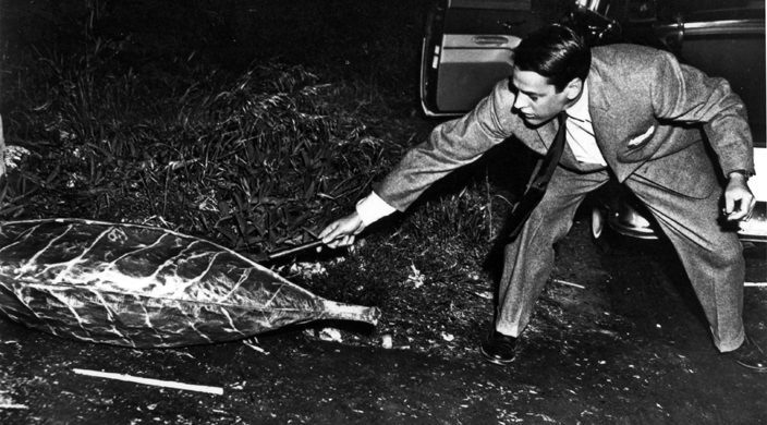 L'Invasion des profanateurs