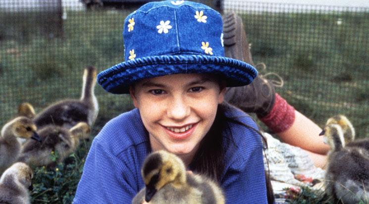 L'Envolée sauvage // annulé