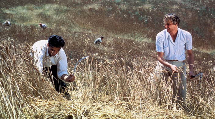 La Nuit de San Lorenzo