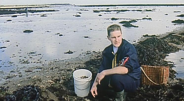 Les Glaneurs et la glaneuse