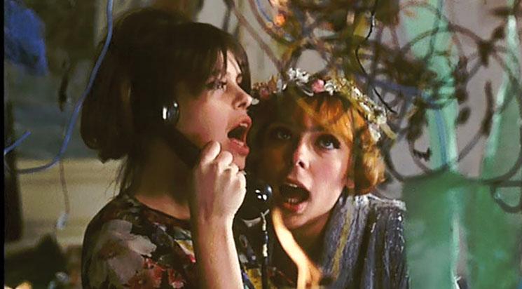 Les Petites Marguerites