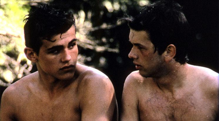 Les Roseaux sauvages