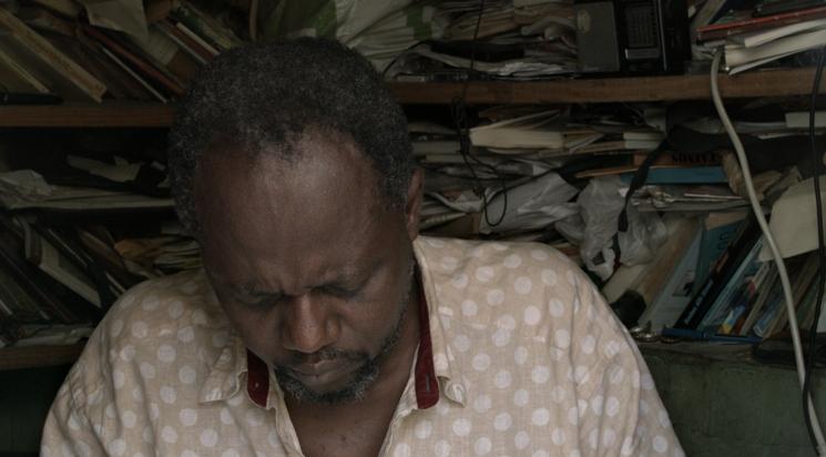 Les Flâneries du voyant