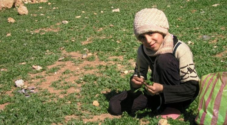 Little Palestine, journal d'un siège