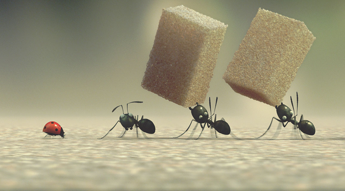 Minuscule, la vallée des fourmis perdues