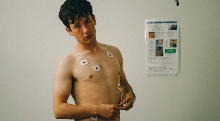 Mise à mort du cerf sacré