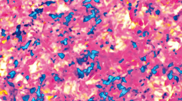 Compétition courts 5