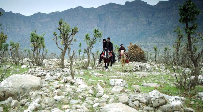 My Sweet Pepper Land