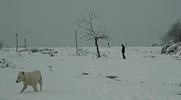 Séance annulée // Beynimdəki Mismarlar précédé de The Wasp and the Weather