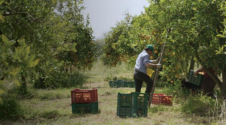 Nul homme n'est une île