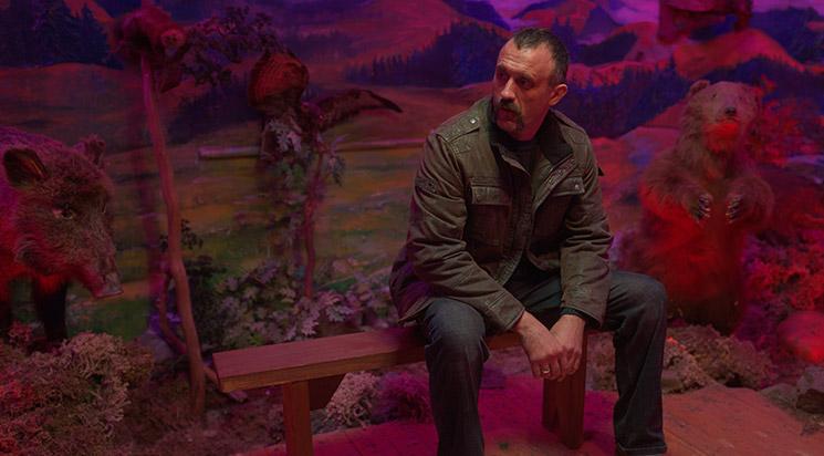 Pamfir (ПАМФІР)