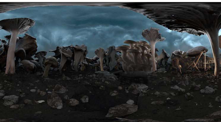 Les samedis de la VR