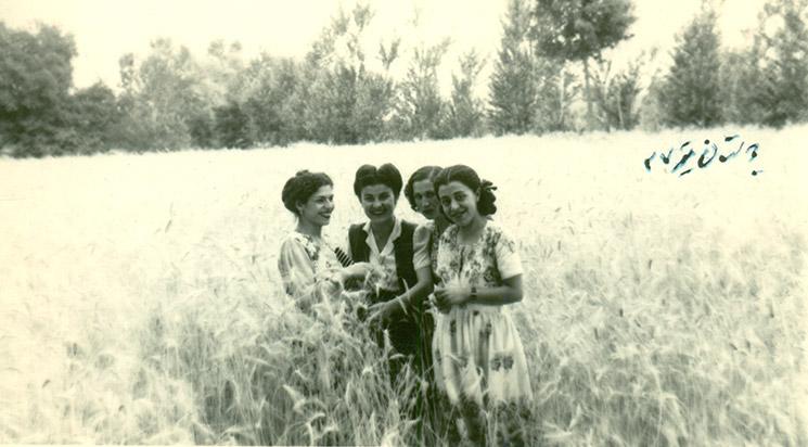 Radiographie d’une famille