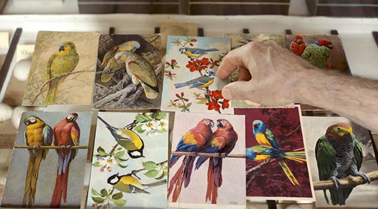 Tout ce qui était proche s’éloigne + Langue des oiseaux