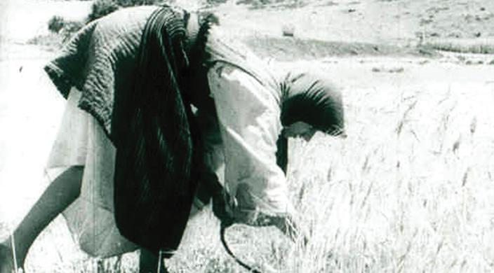 Albanie #3 / Courts métrages