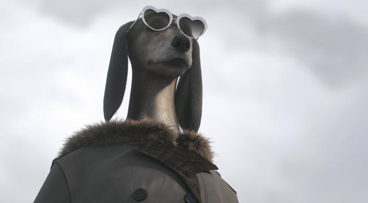 Compétition courts 7