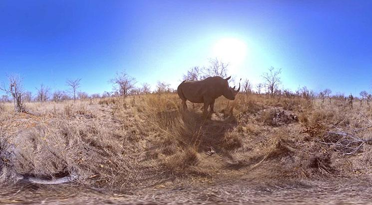 Les samedis de la VR du 23 avril 2022