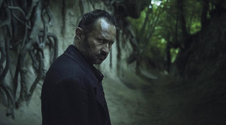 The Field Guide to Evil