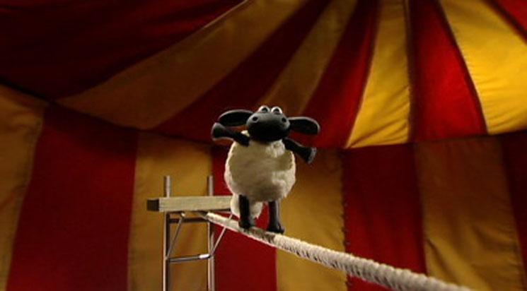 Timmy, le mouton acrobate