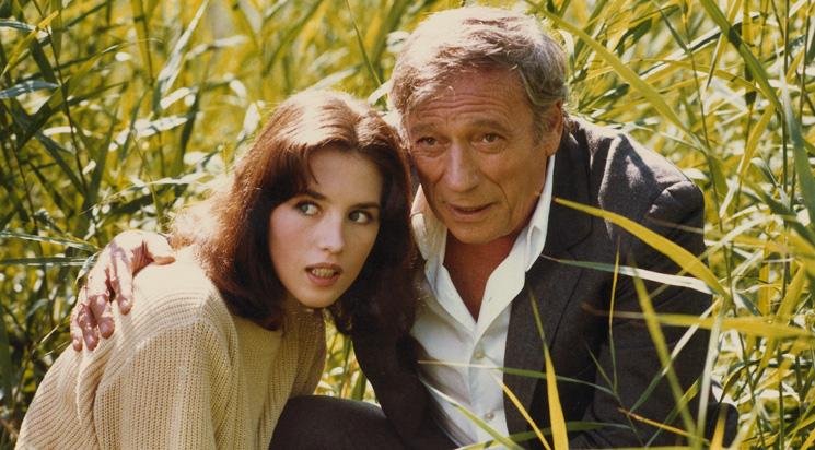 Tout feu tout flamme