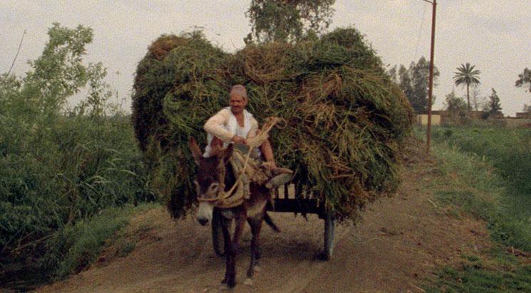 Trop tôt, trop tard