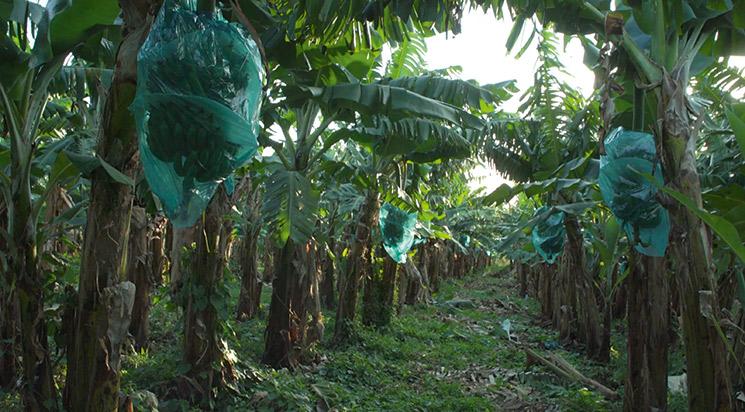 Tu crois que la terre est chose morte