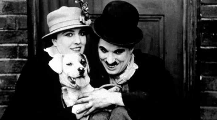 Une vie de chien et autres aventures canines