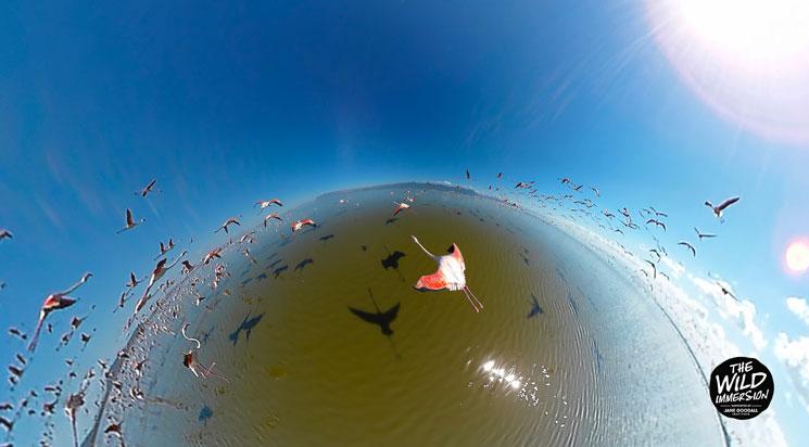 Les samedis de la VR - 15h30 / samedi 23 juin