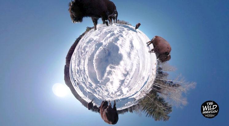 Les samedis de la VR - 18h30 / samedi 23 juin