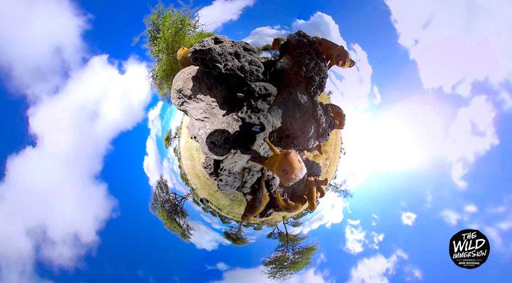 Les samedis de la VR - 17h30 / samedi 16 juin