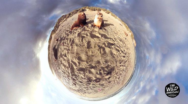 Les samedis de la VR - 16h30 / samedi 2 juin