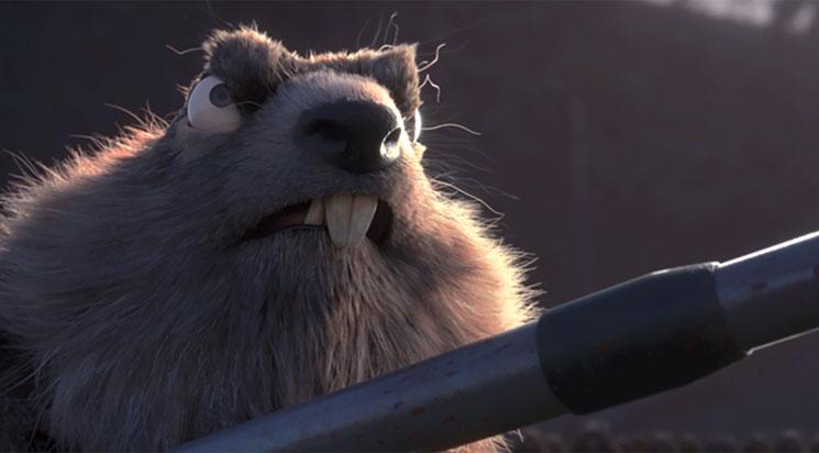 Compétition courts 3