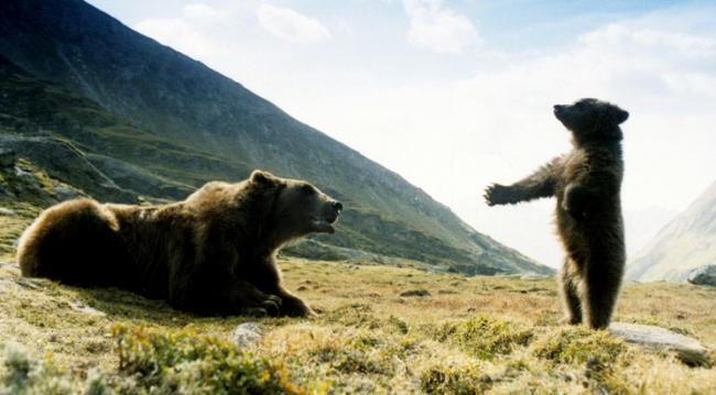  "L'Ours" © Collection-Christo 