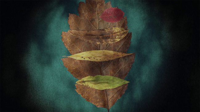 Dry-Lives-@Lukas-Winter-Lyza-Jarvis