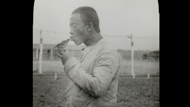 Nos papis chinois : un silence qui résonne © Caroline Chu